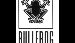 Remembering Bullfrog Productions