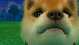 View Real 3D-Screenshots of Nintendo 3DS Games
