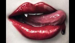 Player Affinity Review: True Blood- She’s Not There