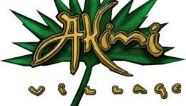 Examiner Review: Akimi Village PSN review