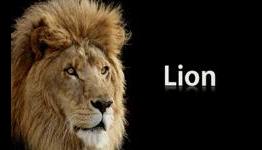 Preparing Your Mac for Mac OS X Lion