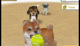 Six DS Games That Changed Everything (Modojo)