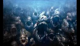 Spy Kids 4D and Piranha 3DD are Not Shot in 3D but Converted 3D