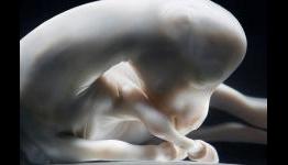 Equine Exquisitus: The incredible horse photography of Tim Flach