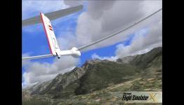 Flight Simulator Developer Dies in Car Accident
