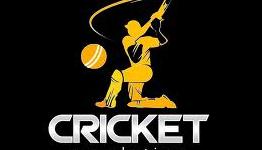 Review: Cricket Revolution