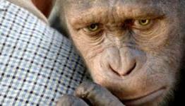 Shadowlocked – Rise Of The Planet Of The Apes Review
