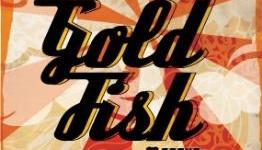Goldfish: South African Band Celebrates Retro Gaming
