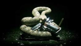 Hitman: Absolution New Details From Xbox World