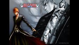 Bleach (Anime) – Top 5 Characters. Number 5