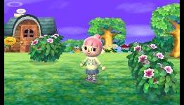 Nintendo Games Best Suited For iPhone And iPad