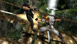 Nintendo 3DS Essential Games Guide