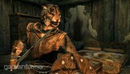 Gameinformer: Behold Skyrim’s Cat People