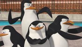 BEE MOVIE Co-Director Simon Smith to Helm DreamWorks’ MADAGASCAR Penguins Spin-Off Movie