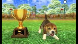 Wiiloveit.com: nintendogs + cats – 3DS App Review