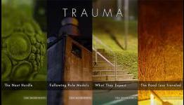 WingDamage.com Review: Trauma (PC)