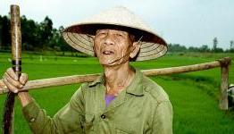 My Asian Farm Isn’t Racist At All…
