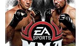 Get Your MMA On…For Under $10