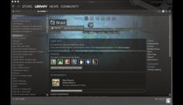 In Steam I trust: Welcoming our new(ish) digital overlord