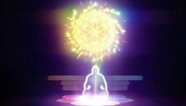 THQ Details Leela for Wii & Xbox 360