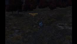 Wasteland Diaries: Why do I PvP?