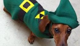 Young Urban Puppy: Video Game Dog Costumes