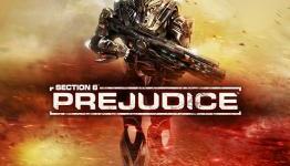 Wanderson75.net – Section 8 Prejudice Review