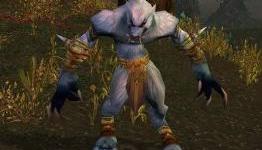 The Great Worgen Debate