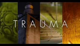 TRAUMA Developer Interview – Krystian Majewski