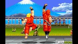 Similarities between Street Fighter 2 and World Heroes