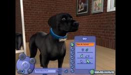 There are Voice Actors for Dogs. And Horses.