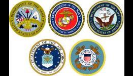 Call of Duty Level 80. Choose Your Branch of Service