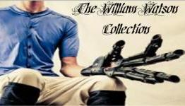 The William Watson Collection 3D Clothing for Gamers