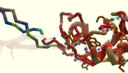 Gamers solve molecular puzzle that baffled scientists