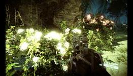 Crysis 2 First True Graphics mod