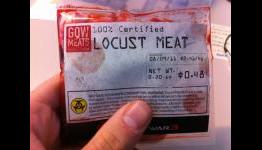 Being a Gamer Again: A Gears of War 3 Launch Experience