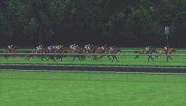 Kinectronic: Champion Jockey