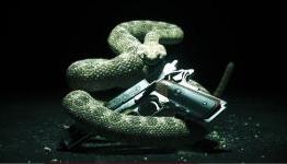 Hitman Absolution – More Personal Story / Features Revealed