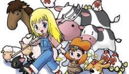 GameCentral: Harvest Moon DS: Grand Bazaar Review – farmer’s market