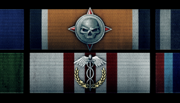 List of Battlefield 3 Ribbons