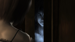 Fatal Frame for Nintendo 3DS (Spirit Photo)