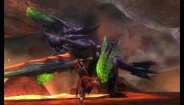 Monster Hunter Tri G screenshots