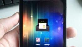 Google Nexus Prime Caught On Camera In The Wild, Then Leaked On The Web