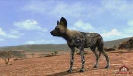 Reconsidering PS3′s Afrika