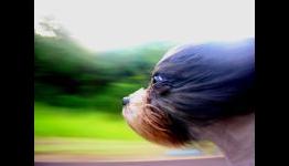 Adobe Gives A Sneak Peek Of New Photoshop Feature “Deblurring”