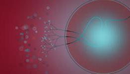 ShackNews – Eufloria Review (PS3)