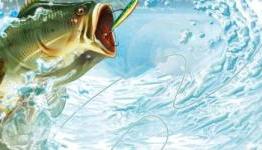 ZTGD | Sega Bass Fishing Review