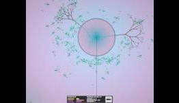PS3Blog.net Reviews: Eufloria