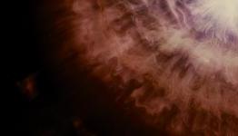The Tree of Life Blu-ray Review – WGTC