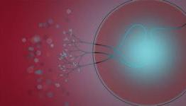 PSX Extreme Review: Eufloria